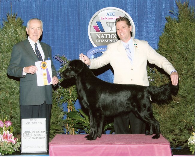 Applegarth flat outlet coated retrievers